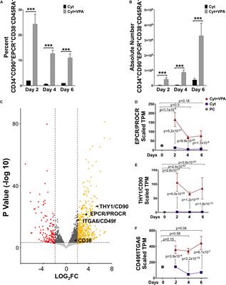 Limited Mitochondrial Activity Coupled With Strong Expression of CD34, CD90 and EPCR Determines the Functional Fitness of ex vivo Expanded Human Hematopoietic Stem Cells